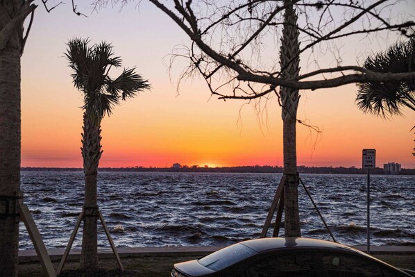 A sunset view with palm trees and a body of water.