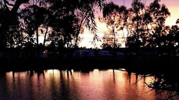 Lake view