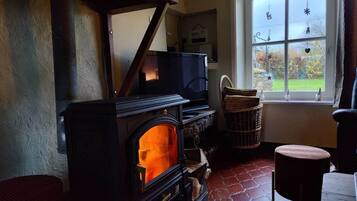 TV connectée, cheminée, livres