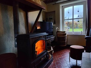 Smart TV, fireplace, books