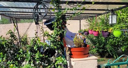 5m Autoroute sud plage métro.  priver 5 minute stade vélodrome  0761815768