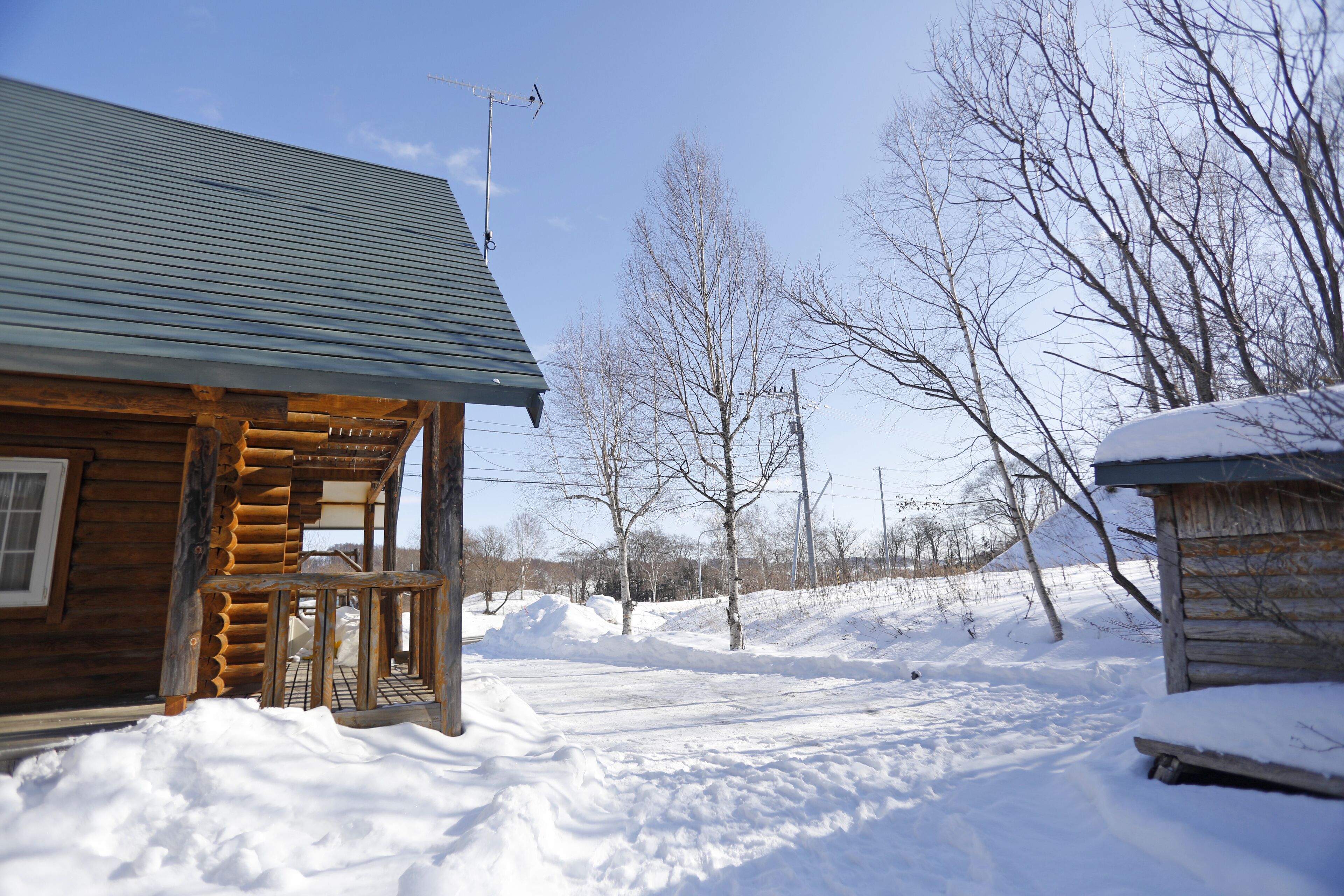 A log cabin with a metal roof and a porch, surrounded by snow-covered ground and leafless trees.