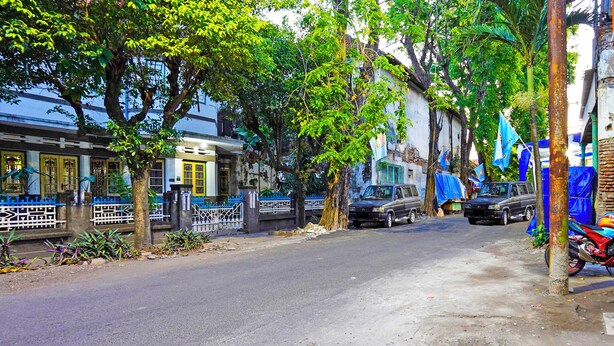 Una calle bordeada de árboles y coches aparcados.