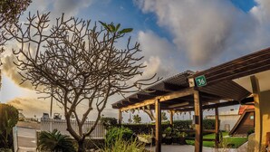 A covered outdoor area with a pergola, a tree, and a sign indicating the number 36. - Breezot Yam (Nahariya)