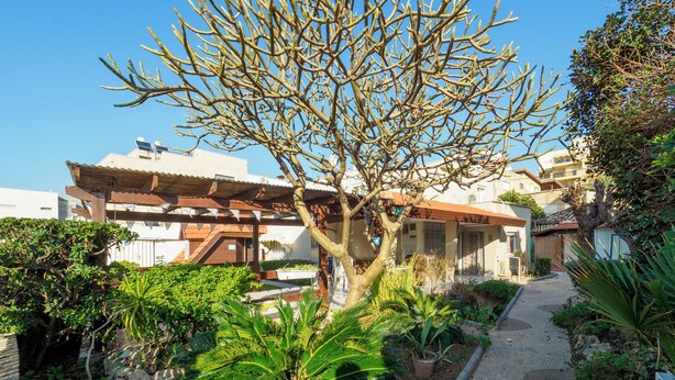A courtyard with a tree, potted plants, and a pathway leading to a building with a tiled roof. - Breezot Yam (Nahariya)