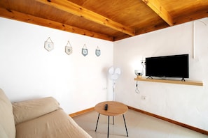 Une pièce avec un plafond en bois, un téléviseur posé sur une étagère, un ventilateur et un canapé.