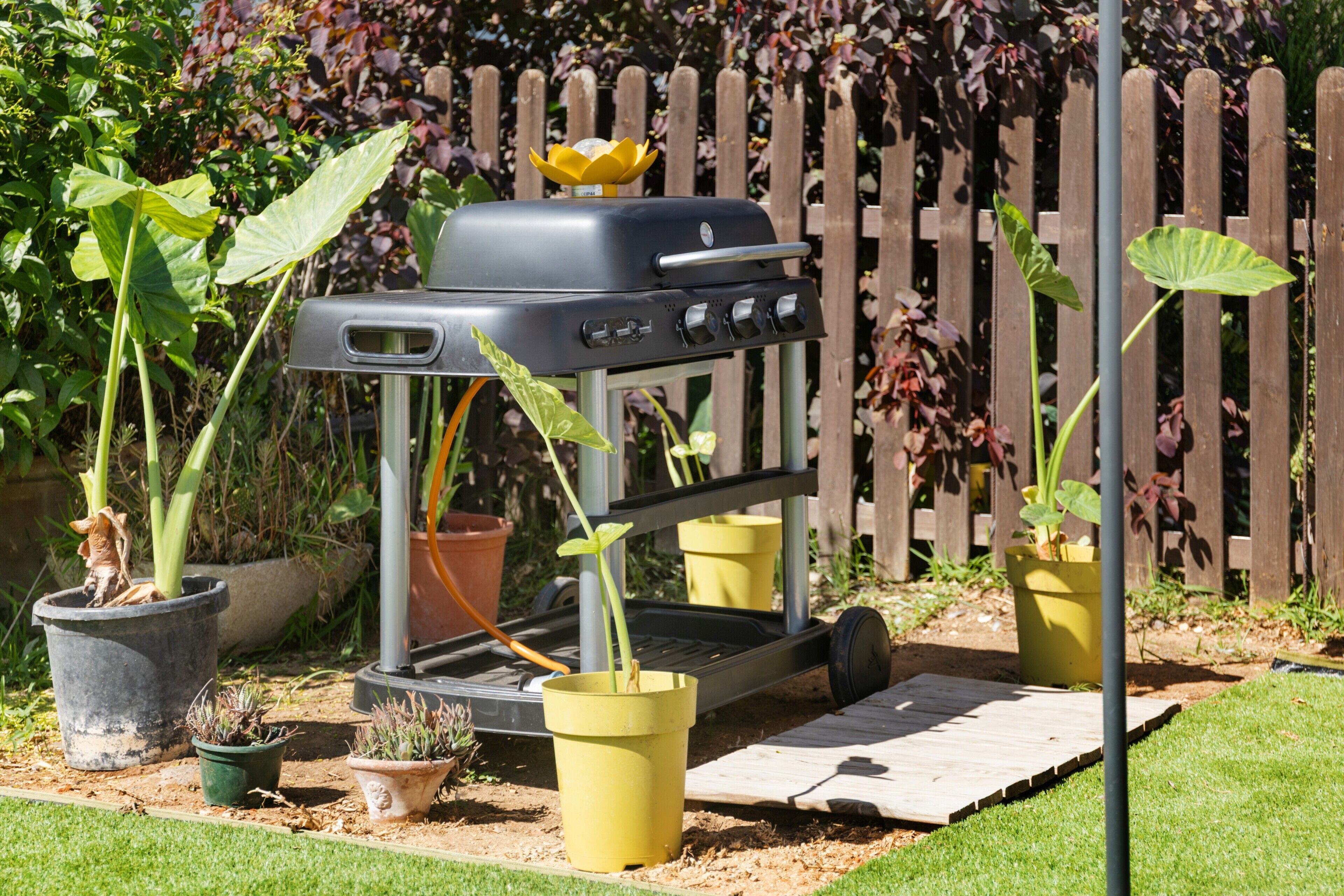 Un barbecue portatif doté d’un panneau de commande, entouré de plantes en pot et d’une clôture en bois.