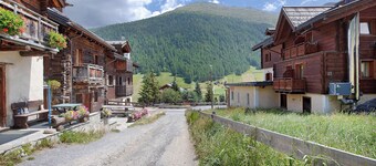 Apartment "Bormetti Paolo" with Mountain View, Shared Garden & Wi-Fi
