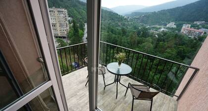 Modern apartment in Borjomi