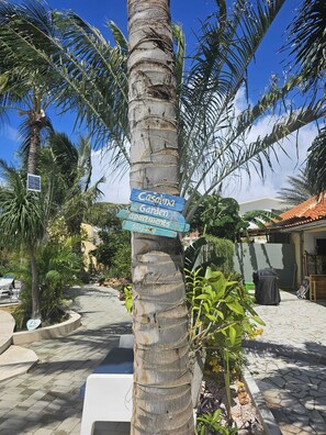 Property grounds - Penthouse, Private roof terrace. resort size pool, walking distance to PalmBeach (Noord)