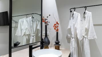 Basic Double or Twin Room