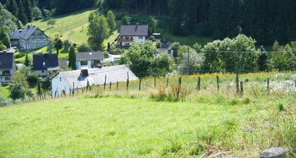 Holiday Home Rehsiepen near Winterberg