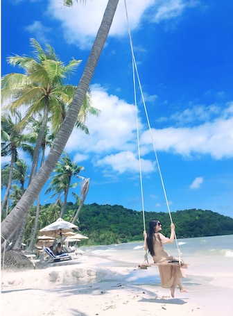 A beach scene with a swing set, palm trees, and a clear blue sky.