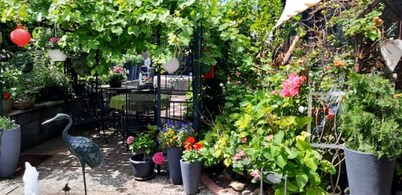 Harzer Bergblick *ALL INCLUSIVE* 120sqm up to 10 pers. - sauna and whirlpool