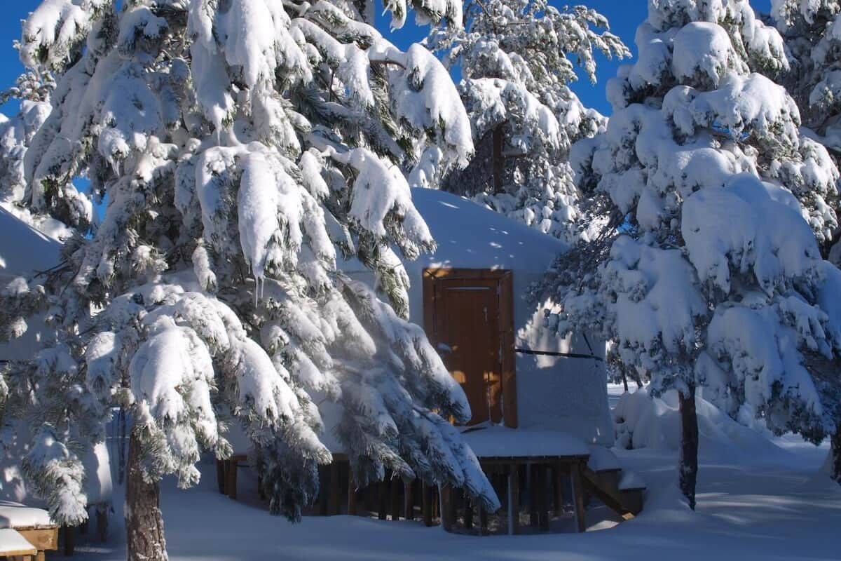 Bungalow Standard | 3 camere, Wi-Fi gratuito