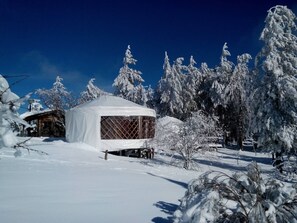 Bungalow Standard | Wi-Fi gratuit