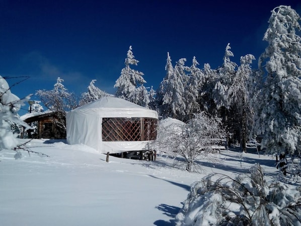 Standard-Bungalow | Kostenloses WLAN