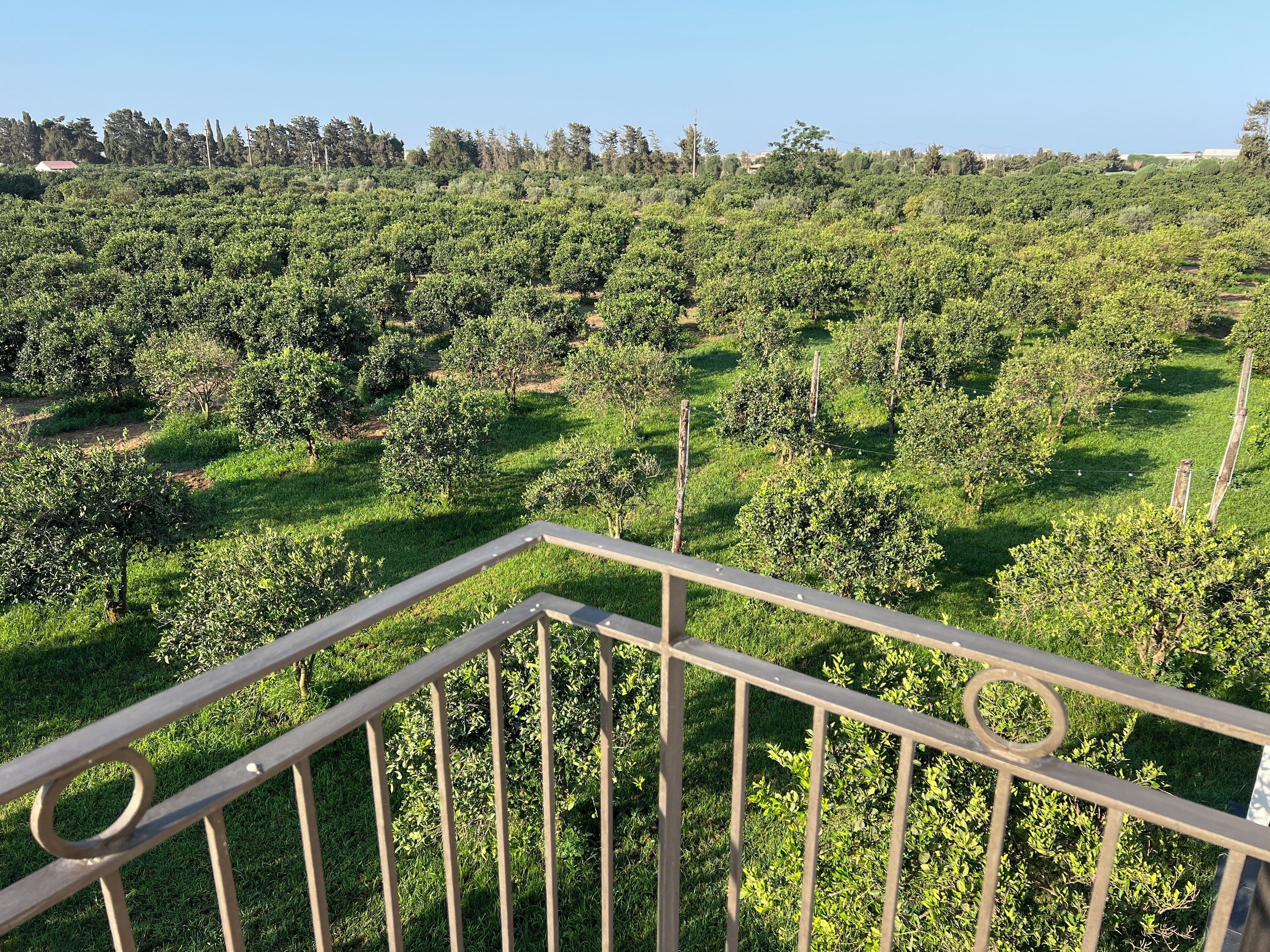 Vue sur la campagne depuis l’hébergement