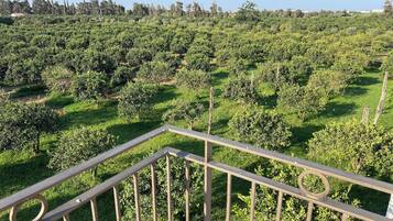 Vue sur la campagne depuis lâhĂ©bergement