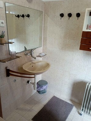 Hair dryer, bidet