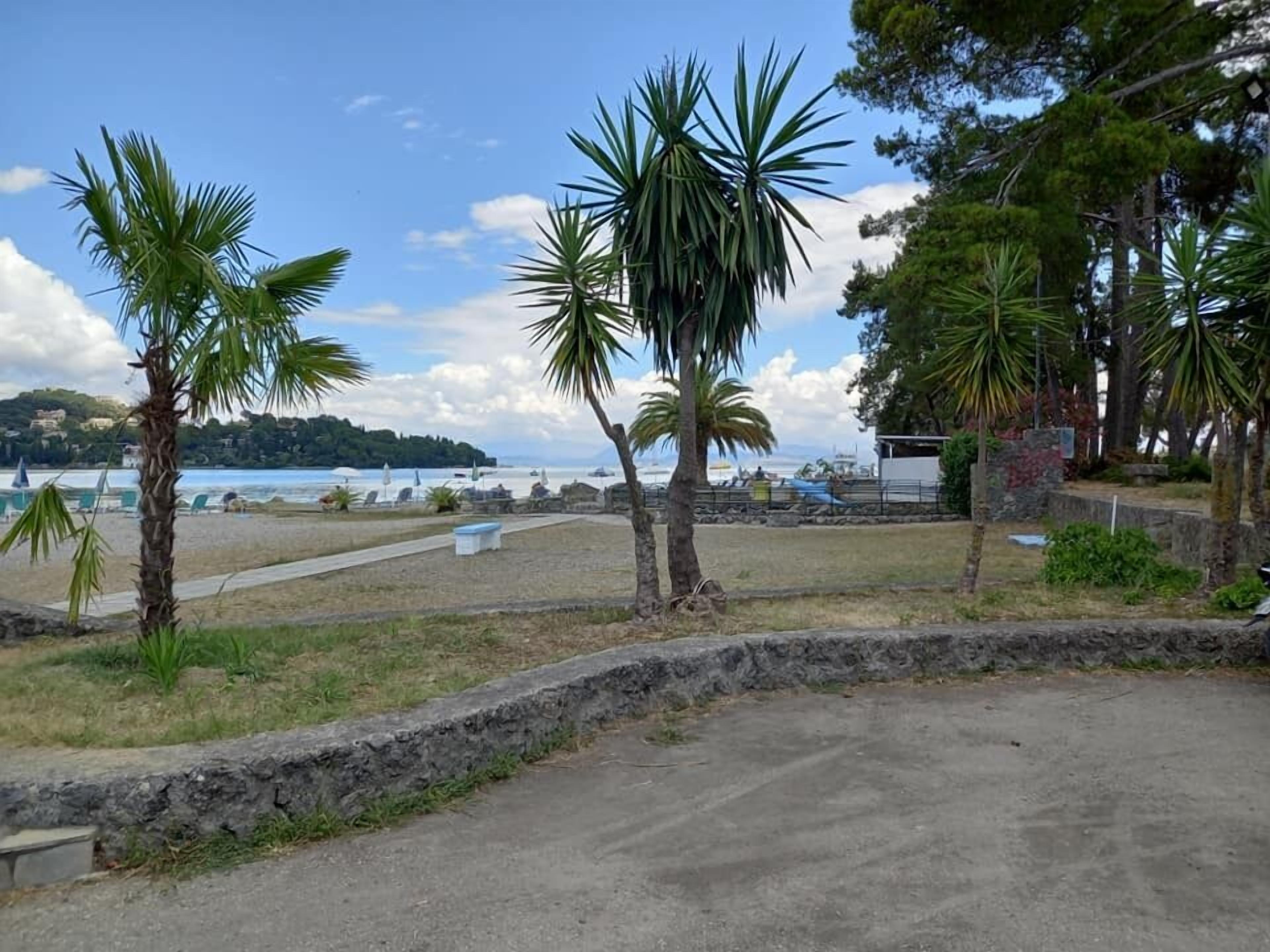 Une zone côtière bordée de palmiers, avec une promenade pavée et une vue sur la mer.