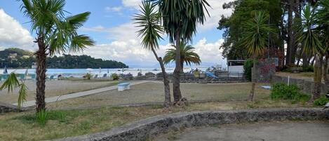 Une zone côtière bordée de palmiers, avec une promenade pavée et une vue sur la mer.