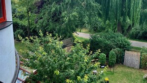 On peut admirer un jardin luxuriant, avec une grande variété d’arbres et d’arbustes, un chemin pavé et un bâtiment doté d’une fenêtre rouge.