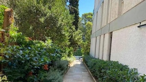 Un stretto sentiero in pietra, costeggiato da rigogliosa vegetazione e un edificio con facciata moderna.