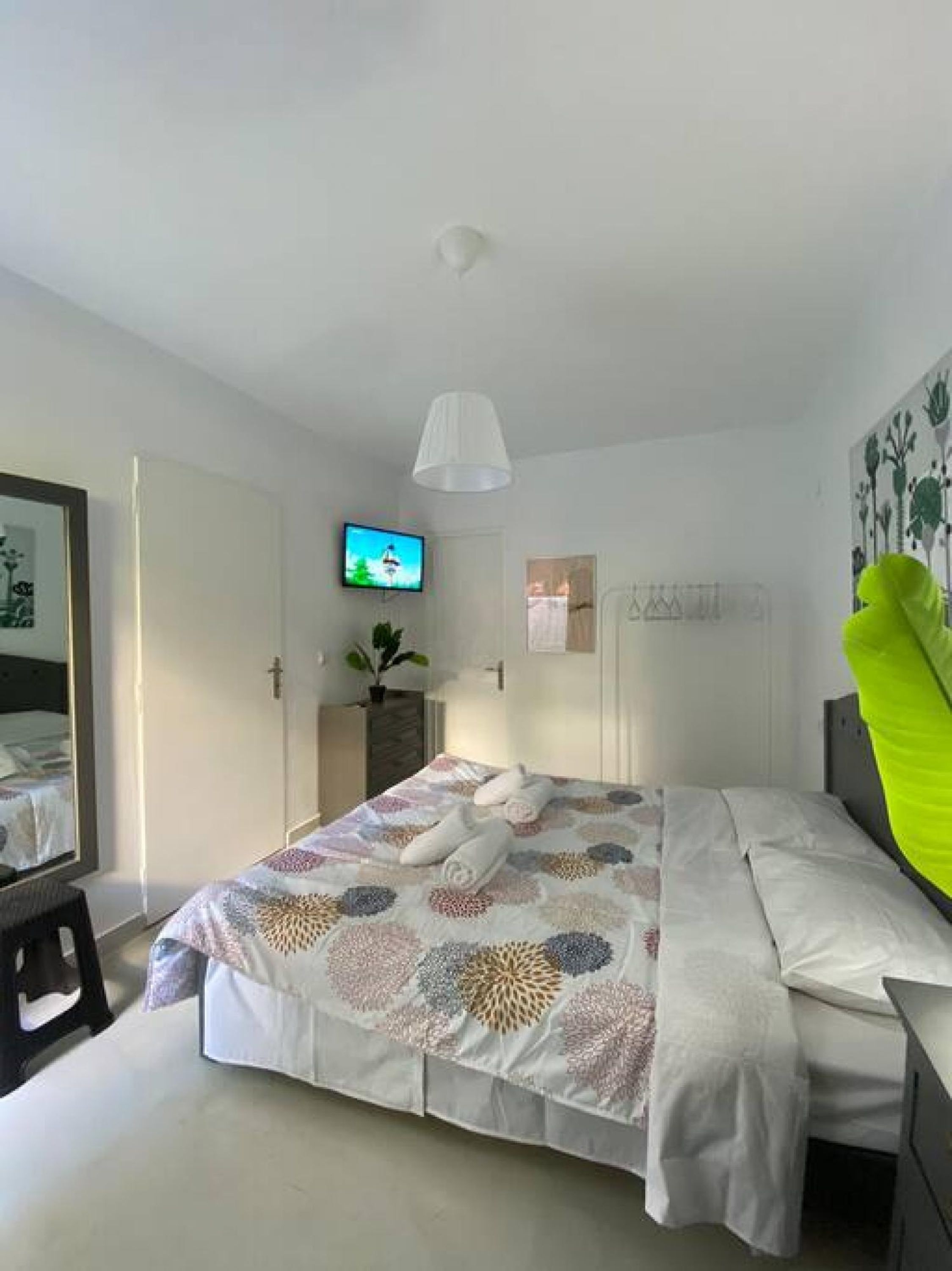 Une chambre à coucher avec un lit, une télévision, une plante et un miroir.