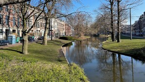 Un canal bordé d’une allée d’arbres et flanqué de bâtiments d’un côté.
