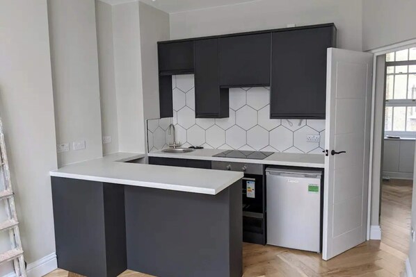 Basic Apartment, 1 King Bed | Private kitchen | Fridge, microwave, oven, stovetop