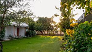 A well-maintained garden with a lawn, a small building with a red door, and yellow flowering plants. - Aangan Resort (Jhunjhunu)