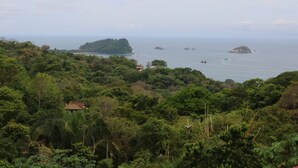 A lush, green landscape with a small house surrounded by dense vegetation.