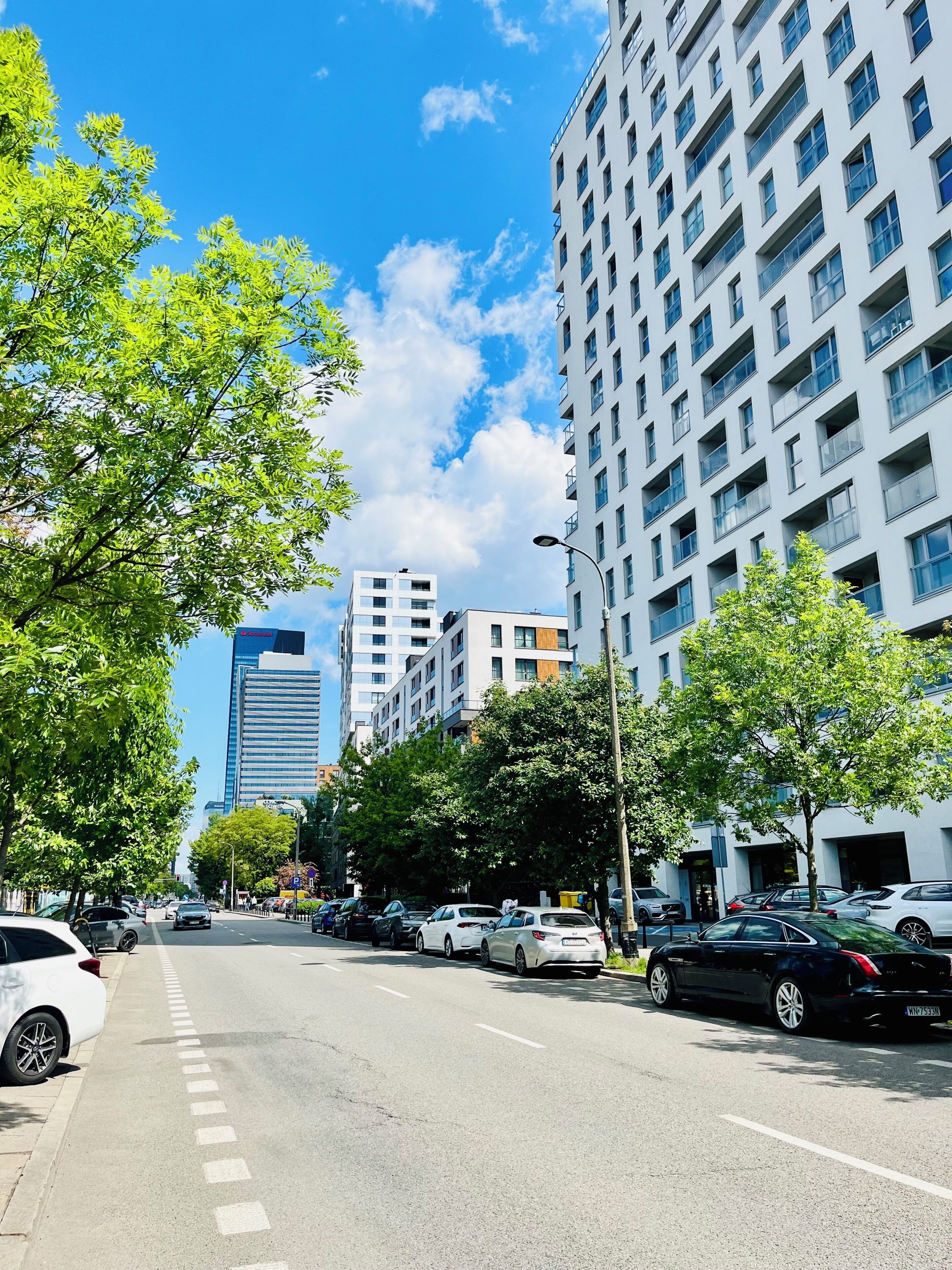 A city street with modern buildings, parked cars, and trees.