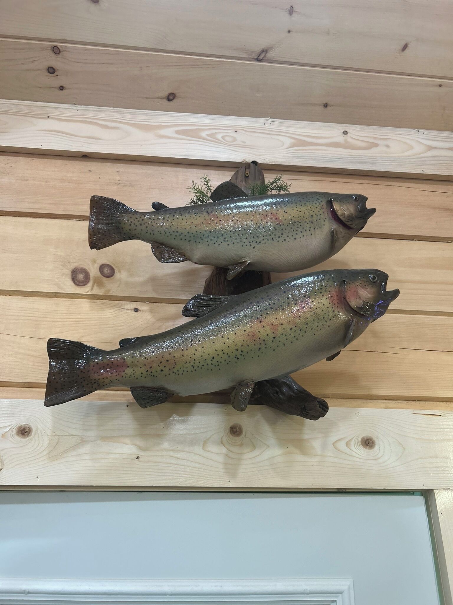 Dos peces montados en una pared de madera.