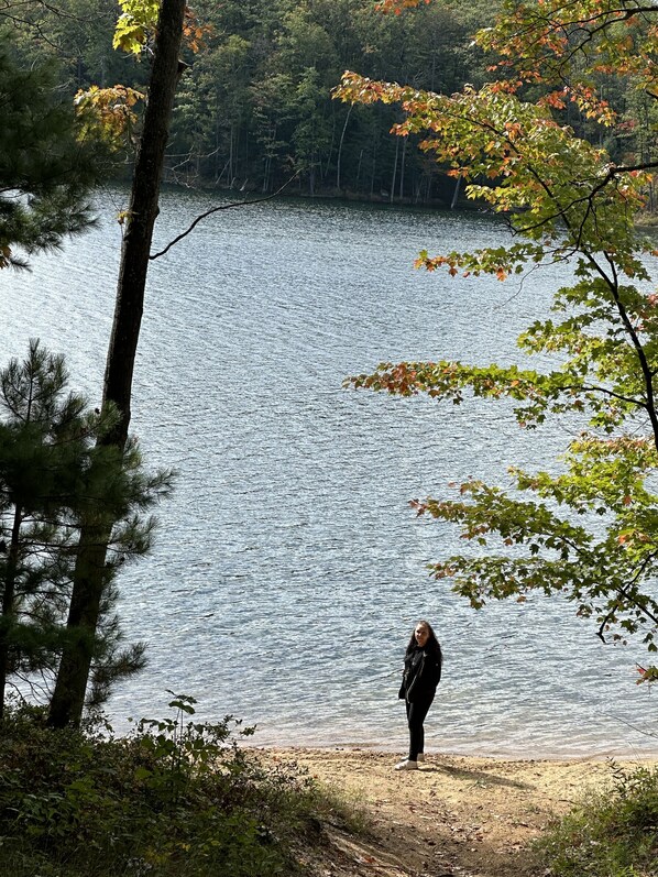Beach - Cozy cabin with backyard stream close to Au Sable River and the best ATV trails (Mio)