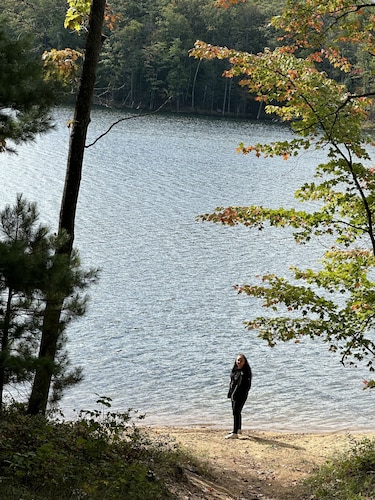 Cozy cabin with backyard stream close to Au Sable River and the best ATV trails