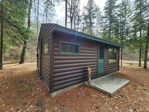 Exterior - Cozy cabin with backyard stream close to Au Sable River and the best ATV trails (Mio)