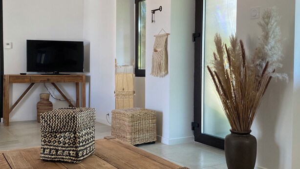 Een woonkamer met een houten salontafel, een televisie op een houten kast, een rieten poef en een vaas met gedroogde planten.