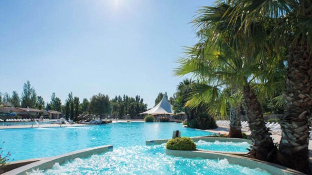 A large outdoor swimming pool with a hot tub area, surrounded by palm trees and lounge chairs.