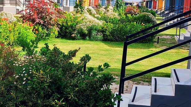 Une rangée de charmantes maisons de bord de mer aux couleurs vives, avec un jardin verdoyant et un escalier menant à l’entrée.