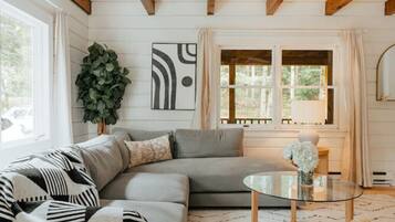 TV connectée, cheminée, livres