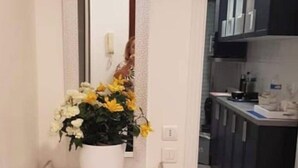 Un couloir étroit avec un meuble sombre et une plante en pot. Un miroir reflète une partie de la pièce, et on aperçoit un coin cuisine sur la droite.