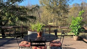 An outdoor patio with a round table and chairs, surrounded by potted plants and a wooden deck.