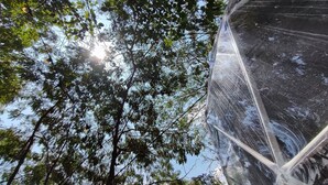 A view of a building with a glass facade reflecting the sky and surrounding trees. - Romantic glamping at Vista Hermosa, enjoy nature in a private and cozy environment. (San joaquin-La Mesa)