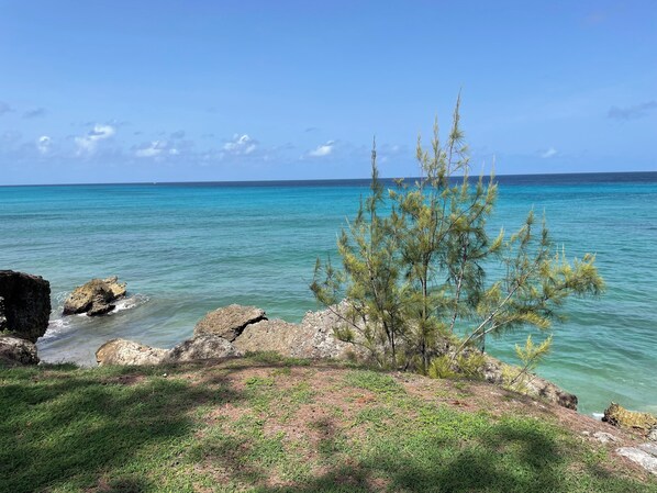 Toalhas de praia