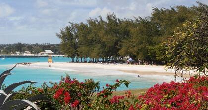 Blue Waters 2-bedroom Condo, w/ ocean views, close to the beach