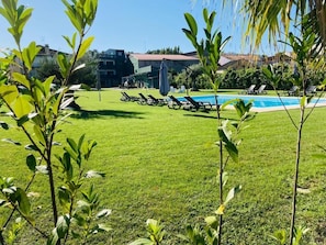 Seasonal outdoor pool, open 7:30 AM to 9:00 PM, pool umbrellas - Ribeira House (Mirandela)