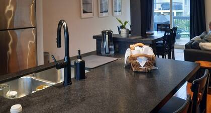 Modern Tornbury townhouse walk to everything, seasonal rental available