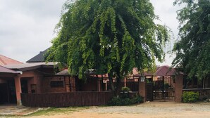 Un barrio residencial con una calle pavimentada, una casa de techo rojo y un árbol grande en la fachada.